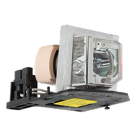 ACER EY.JBU01.039 Lámpara con carcasa