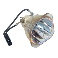 NEC PA550W+ Lámpara sin carcasa