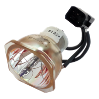 NEC WT61LP (50030764) Lámpara sin carcasa