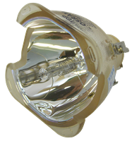 OPTOMA BL-FU250D (SP.81D01.001) Lámpara sin carcasa