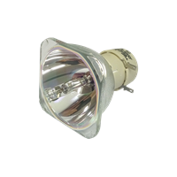 OPTOMA DH401 Lámpara sin carcasa