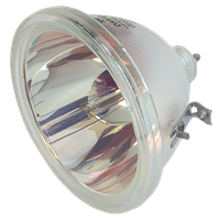 OSRAM P-VIP 100-120/1.3 E23 Lámpara sin carcasa