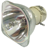 PHILIPS-UHP 260/220W 1.0 E20.9 Lámpara sin carcasa